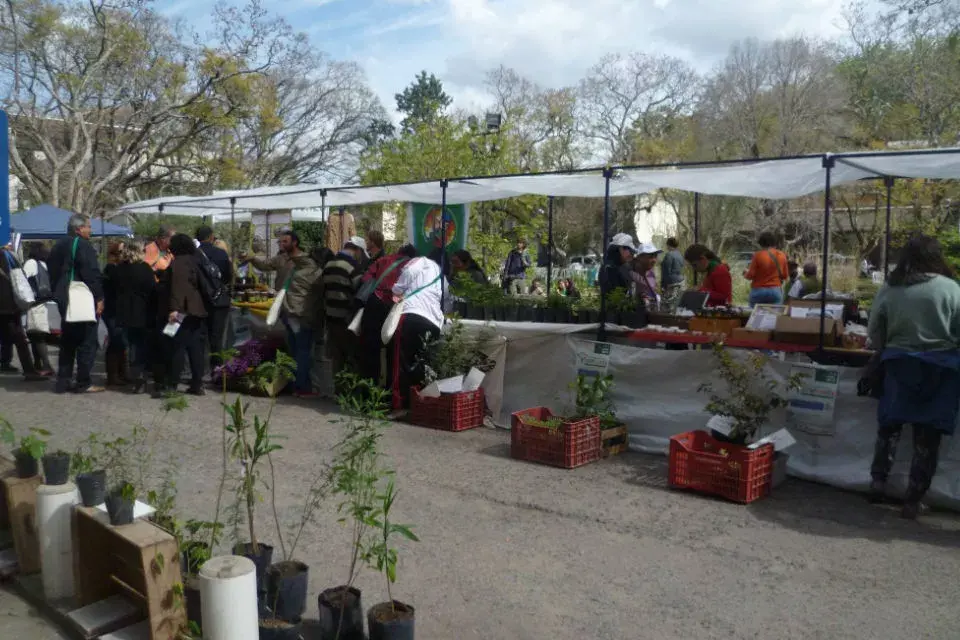 Foto: V Congreso Latinoamericano de Agroecología.