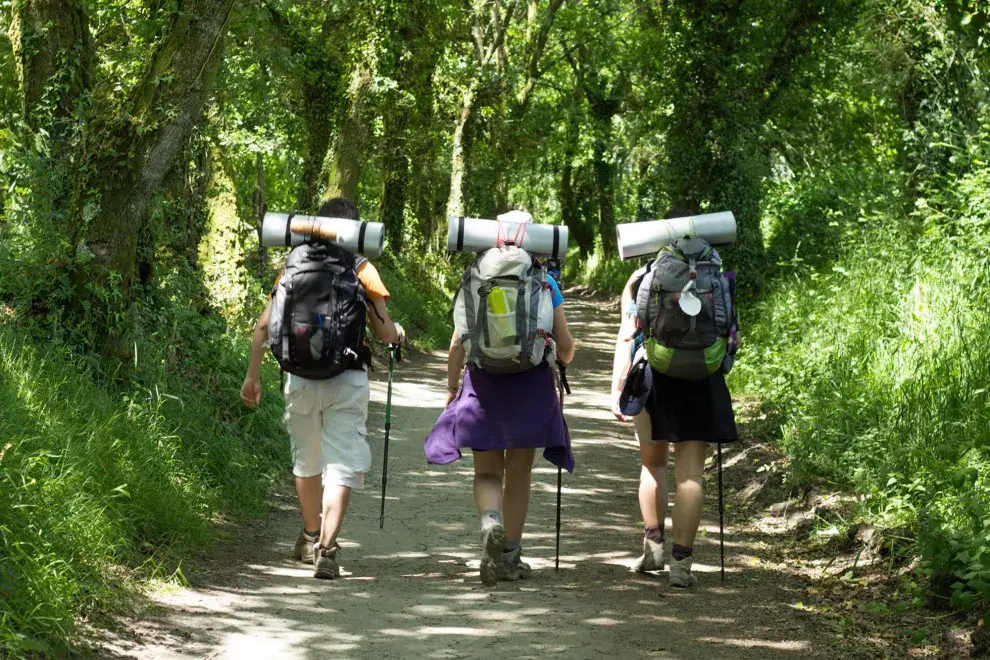 Si te picó el bichito de convertirte en peregrina, te pasamos la posta del camino, una guía bien práctica para empezar a caminar.