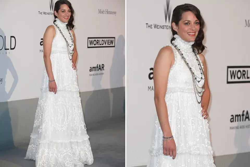 Marion Cotillard optó por un diseño de Sarah Burton para Alexander McQueen. Un modelo de la colección otoño/invierno 2014 de la firma británica