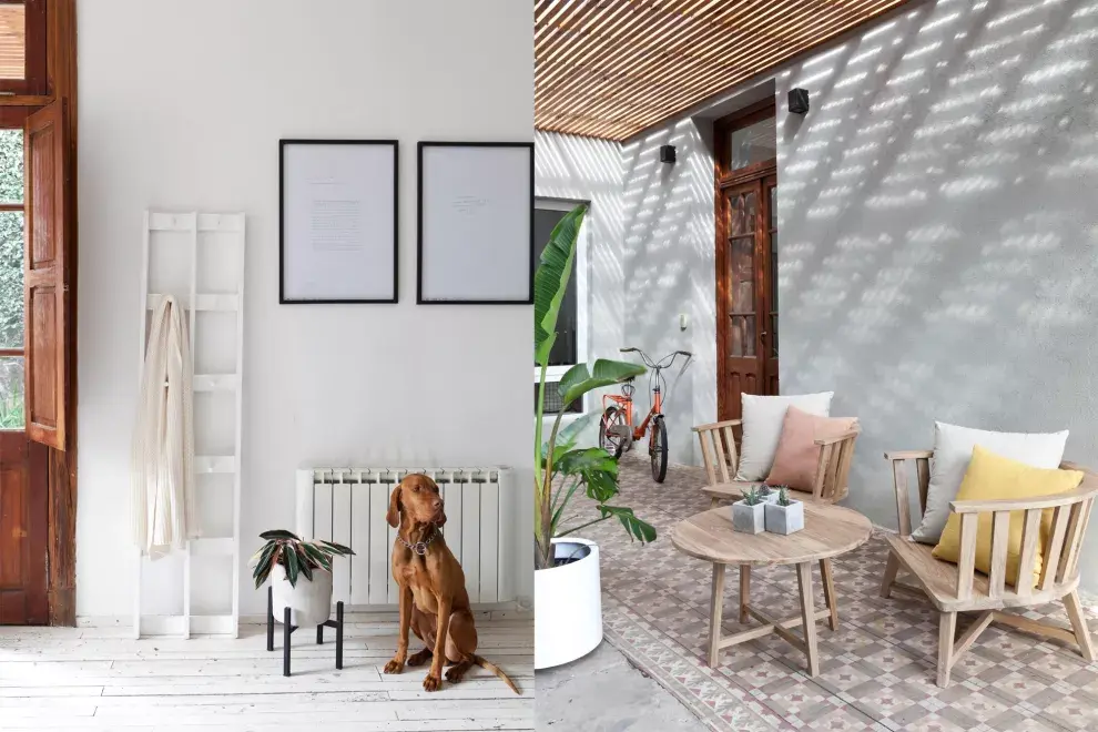 En el perchero, manta tejida (Gutiérrez Deco). Sobre la pared, un dúo de cuadros: “los hizo mi hermana con un texto que escribió y leyó en la ceremonia de nuestro casamiento. Habla del amor, la unión y el encuentro”. Su perro, Junior, junto a una maceta (rakau) con una planta de interior (La jardine