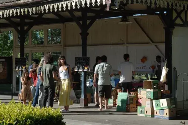 Una opción sustentable para regalar en estas fiestas