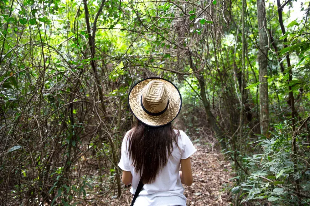 ¡No te olvides de un buen sombrero, protector solar y repelente!