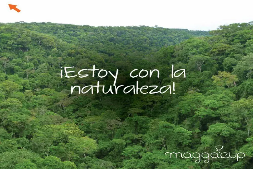 Cuidar la naturaleza en los pequeños actos.