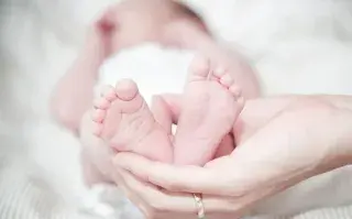 ROPA, el método de fertilización que eligen mujeres lesbianas