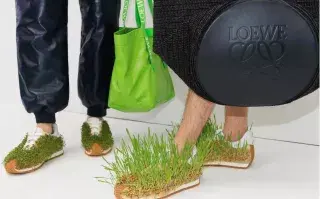 Zapatillas de pasto: cómo son las prendas germinadas que Loewe presentó en París Loewe + Paula Ulargui Escalona + J.W.Anderson