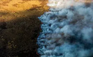 Incendios forestales en el Río Paraná