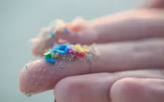 Advierten gran cantidad de microplásticos en distintas áreas del Mar Argentino