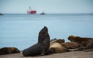 Mar del Plata es un destino muy elegido para una escapada