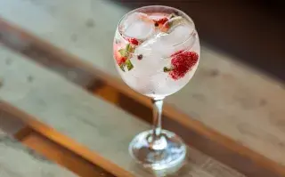 Cuatro propuestas de gin, ideales para las amantes del gin tonic.