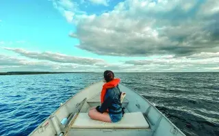 Los 6 imperdibles si visitás los Esteros de Iberá.