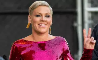 Pink lanzó una nueva canción y es una bomba.