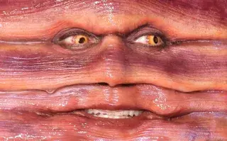 Heidi Klum eligió ser un gusano para Halloween.