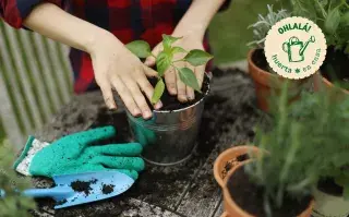 Huerta en Casa, primer episodio