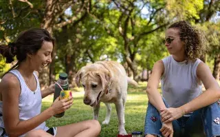 Conocé los 3 errores más frecuentes al tomar mate.
