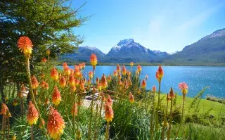 Agenda del verano en Bariloche: 10 actividades imperdibles para hacer Por qué deberías visitar Bariloche en verano.