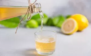 Kombucha: todo sobre esta bebida fermentada que es furor.