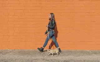 Crearon una app para registrar tu animal de compañía y que tenga su DNI.