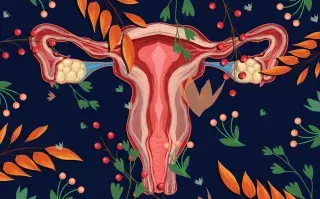 Cuáles son las enfermedades más comunes del cuello uterino.