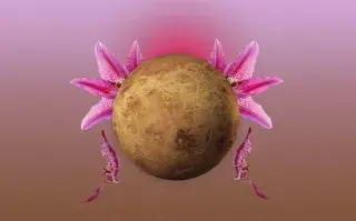 Venus estará en Géminis: ¿qué significa este tránsito?