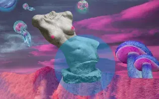 Venus en Cáncer: signo por signo, cómo impacta este tránsito.