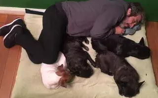 Ricardo Darín despidió a su perro Ronko.