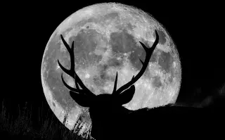Luna llena de Ciervo: ¿cómo ver esta luna brillante de julio?