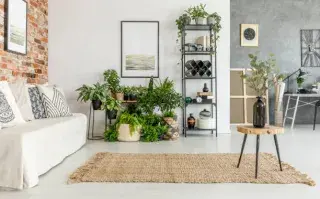 Biophilic design, una tendencia que suma naturaleza al hogar