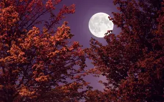 Superluna azul: cómo aprovechar su energía poderosa