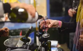 Te recomendamos cinco botellas de vinos orgánicos para probar.