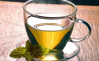 boldo-te-abre.jpg