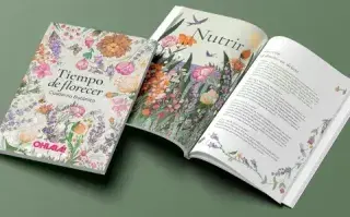 "Tiempo de florecer" lo conseguís en todos los kioscos del país y el Libooks a tan solo $1900.