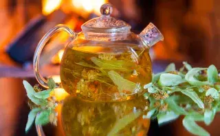 Té de tilo: te ayuda a dormir y otras propiedades que podés aprovechar.