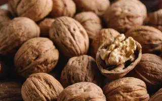 Nueces: cuántas debemos comer por día para aprovechar sus beneficios.
