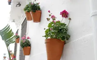 Decorar paredes con plantas y flores aporta un detalle fresco que enamora