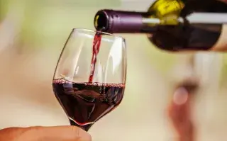 10 botellas para descubrir de Cabernet Franc.