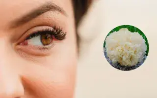 Cosmética fungi: cuál es el hongo que podría reemplazar el ácido hialurónico.