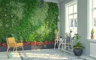 Jardín vertical: qué plantas son las más recomendables y por qué.