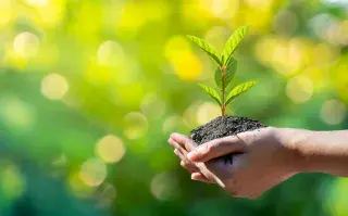 Día de la Tierra: ¿cómo podemos seguir luchando contra la crisis climática? Hoy es el Día de la Tierra y recordamos formas simples para cuidarla.