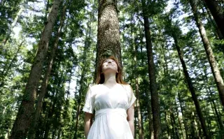 Shinri yoku es la técnica japonesa que te ayudará a equilibrar el estrés.