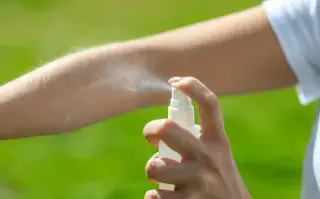 Nueva invasión de mosquitos: estos son los mejores repelentes caseros para ahuyentarlos Cuáles son los mejores repelentes caseros para ahuyentar mosquitos.