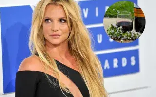 El vino argentino que fascinó a Britney Spears y revolucionó a las redes Britney Spears quedó fascinada con un vino argentino.