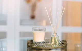 Te compartimos consejos para que elijas la mejor opción para aromatizar tu hogar.