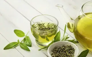 La suculenta que ayuda a limpiar las vías respiratorias y es ideal para plantar en invierno Cuál es la suculenta que puede ser utilizada para combatir los resfríos.