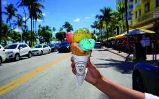 Miami: qué hacer con los chicos en uno de los destinos más cool de 2024 Miami: qué hacer con los chicos en uno de los destinos más cool de 2024