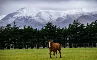 Nevó en Sierra de la Ventana: ¿qué podés hacer si te vas de escapada?