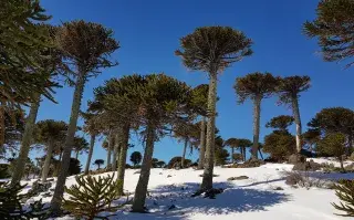 Un pueblo de Neuquén, finalista del concurso internacional Best Villages de la ONU El destino patagónico fue elegido como finalista de un premio de la ONU que reconoce a pueblos rurales de todo el mundo