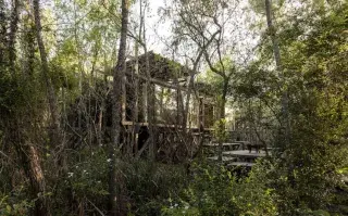 Casas en la naturaleza: 4 lugares integrados al verde Una casa a orillas del Paraná que se mete en medio de la vegetación frondosa.