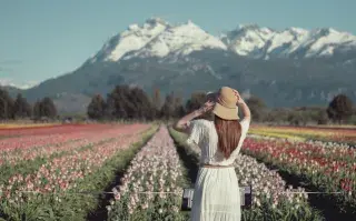 Estos son los mejores destinos de Argentina para viajar en primavera Tulipanes