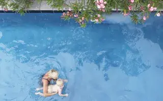 Ya es tiempo de cambiar el agua de la pileta y pensar en qué plantas y flores poner al borde.
