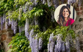 Armado con foto de glicina y Juliana Awada.